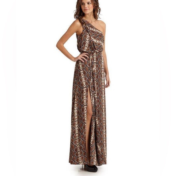 BCBGMaxAzria Dresses & Skirts - BCBGMAXAZRIA | Snake Print Dress | Kessa